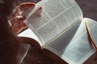 教授学术观点“皇冠十三水辅助软件”(详细透视教程)-哔哩哔哩